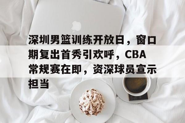 爱游戏-深圳男篮训练开放日，窗口期复出首秀引欢呼，CBA常规赛在即，资深球员宣示担当的简单介绍
